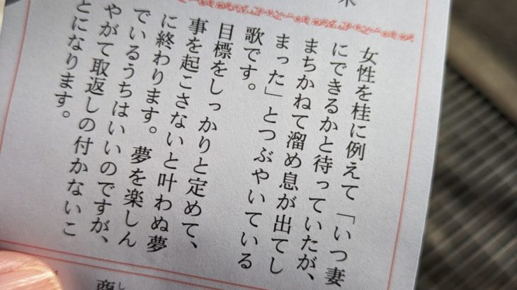 おみくじを引く。